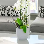 Pullman Cannes Ξενοδοχείο 4*