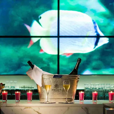 Pullman Cannes Hotell 4*