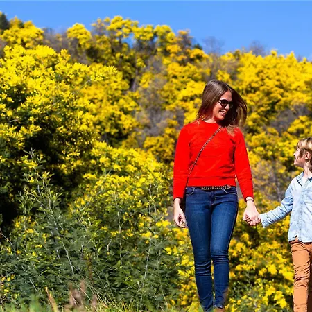 Pullman Cannes Royal Casino Hotel