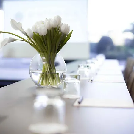 Hotel Pullman Cannes 4*