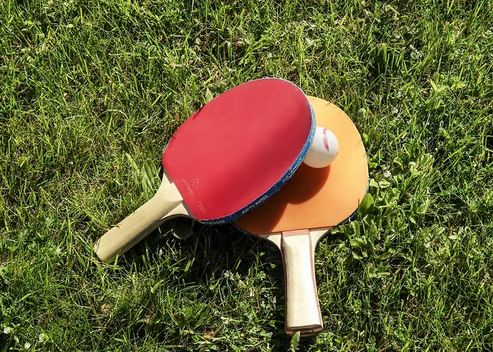 Pullman Cannes 4* Mandelieu